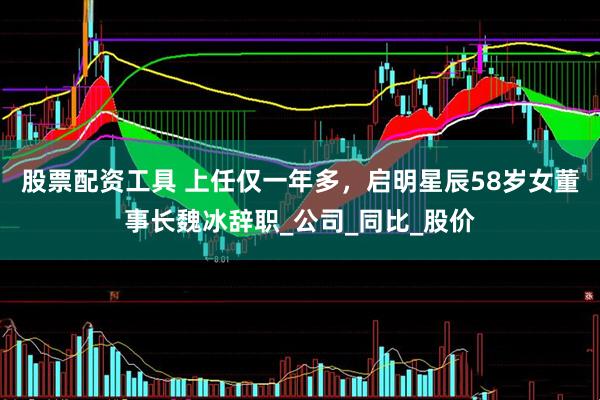 股票配资工具 上任仅一年多，启明星辰58岁女董事长魏冰辞职_公司_同比_股价