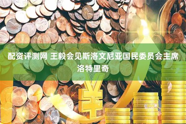 配资评测网 王毅会见斯洛文尼亚国民委员会主席洛特里奇