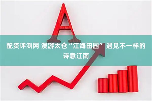 配资评测网 漫游太仓“江海田园” 遇见不一样的诗意江南