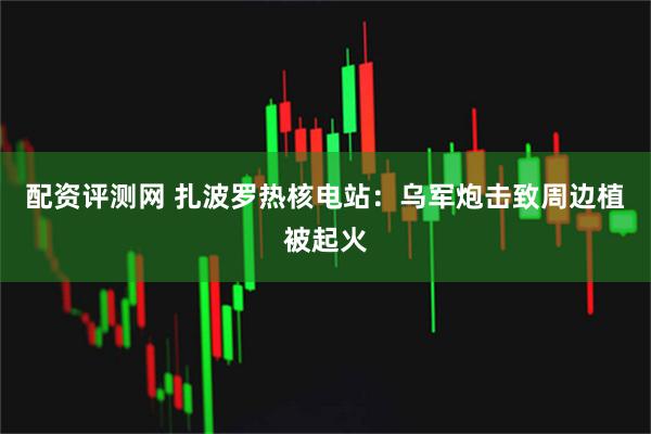配资评测网 扎波罗热核电站：乌军炮击致周边植被起火